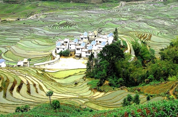 8_副本.jpg 8_副本.jpg