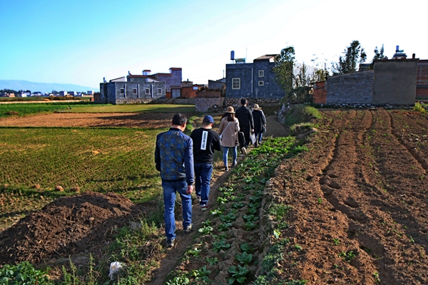 走在阡陌間 巡在最前沿_副本.jpg 走在阡陌間 巡在最前沿_副本.jpg