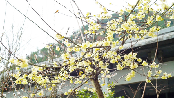 2018052521243282290.jpg 2018052521243282290.jpg