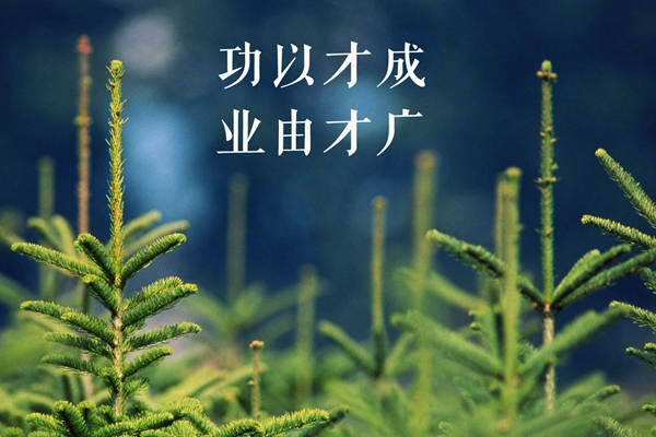 W020180529610362553064.jpg W020180529610362553064.jpg