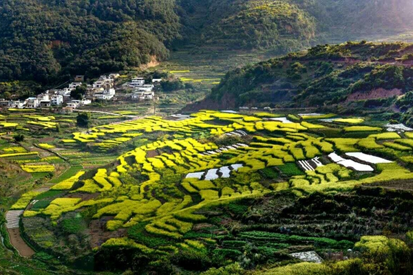 周云鳳 (3)_副本.jpg 周云鳳 (3)_副本.jpg