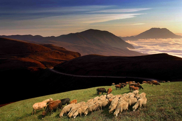 7_副本.jpg 7_副本.jpg