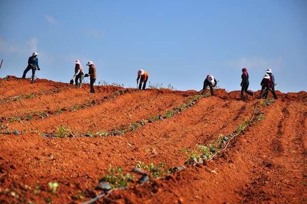 11_副本.jpg 11_副本.jpg