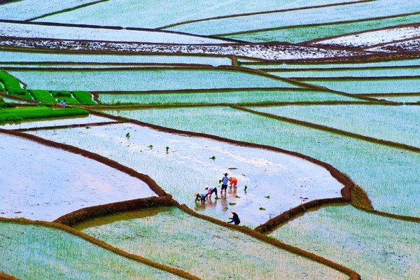 4_副本.jpg 4_副本.jpg