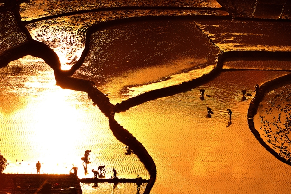 1_副本.jpg 1_副本.jpg