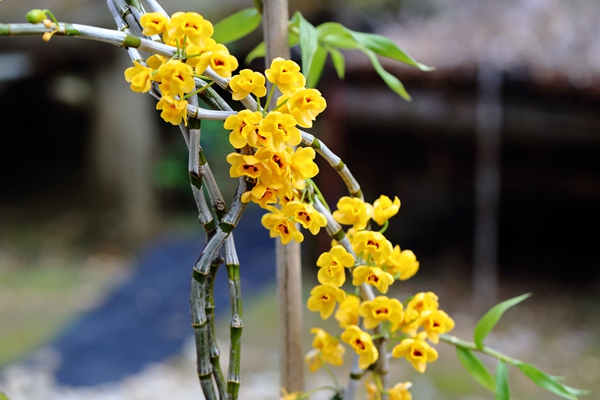 3_副本.jpg 3_副本.jpg