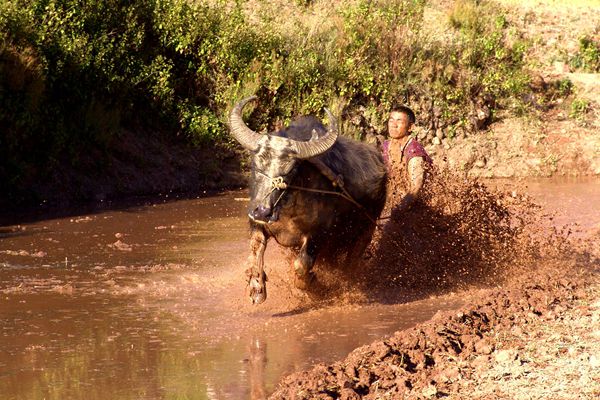 7_副本.jpg 7_副本.jpg