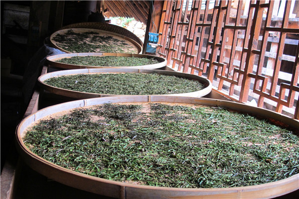 12曬螃蟹腳的簸箕.jpg 12曬螃蟹腳的簸箕.jpg