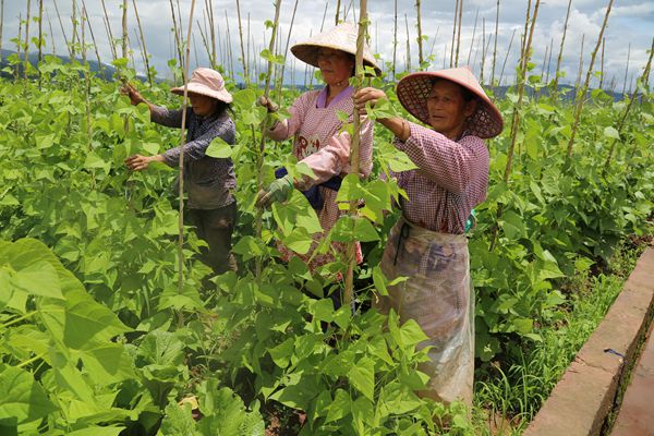 姚安_副本.jpg 姚安_副本.jpg