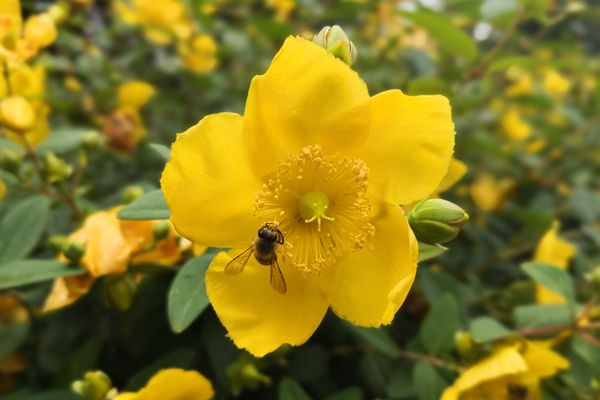 麗江_副本.jpg 麗江_副本.jpg