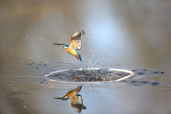 西山_副本.jpg 西山_副本.jpg