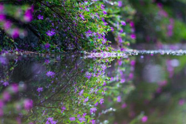 龍陵_副本.jpg 龍陵_副本.jpg