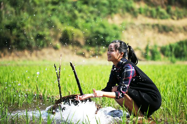 羅平_副本.jpg 羅平_副本.jpg