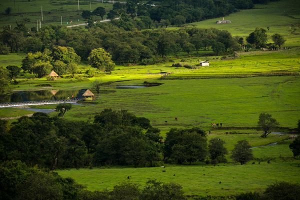 盈江_副本.jpg 盈江_副本.jpg