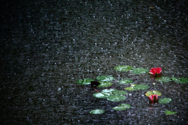 五華區_副本.jpg 五華區_副本.jpg