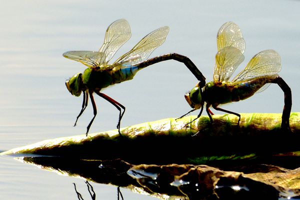 開遠_副本.jpg 開遠_副本.jpg