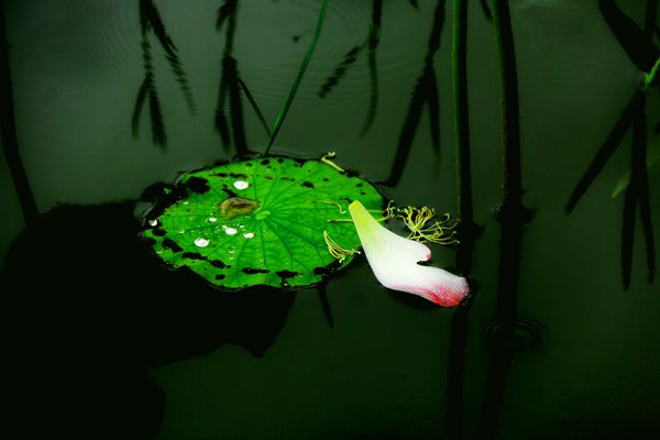 圖4:【紀檢人·鏡頭】夏之絢+ 楚雄市紀委_副本.jpg 圖4:【紀檢人·鏡頭】夏之絢+ 楚雄市紀委_副本.jpg