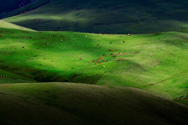 圖1:首夏猶清和,芳草亦未歇(會澤)_副本.jpg 圖1:首夏猶清和,芳草亦未歇(會澤)_副本.jpg