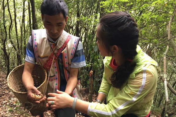 龍陵_副本.jpg 龍陵_副本.jpg