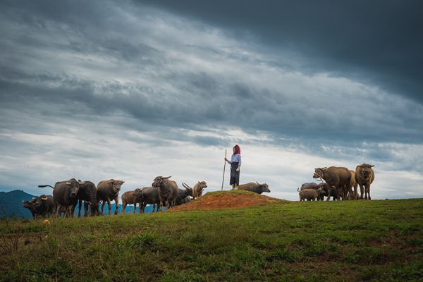 隆陽區_副本.jpg 隆陽區_副本.jpg
