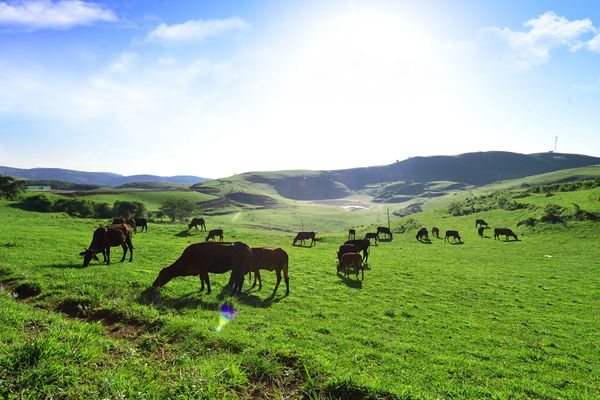 廣南_副本.jpg 廣南_副本.jpg