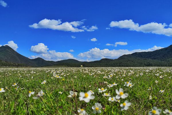 麗江_副本.jpg 麗江_副本.jpg