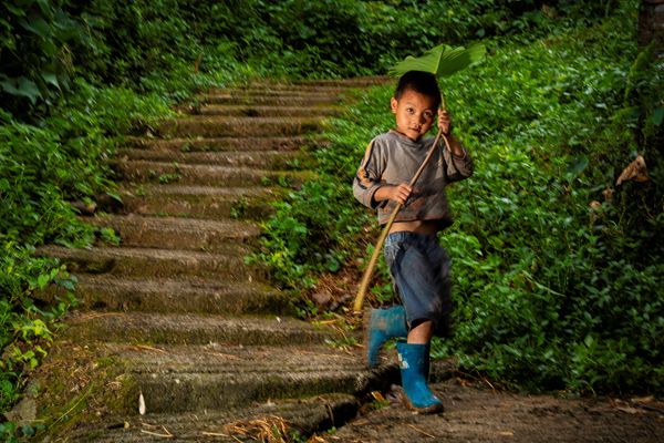 圖2:秋風(fēng)驟起秋雨涼,孩童擎“傘”忙家還_副本.jpg 圖2:秋風(fēng)驟起秋雨涼,孩童擎“傘”忙家還_副本.jpg