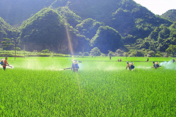 立秋 _副本.jpg 立秋 _副本.jpg