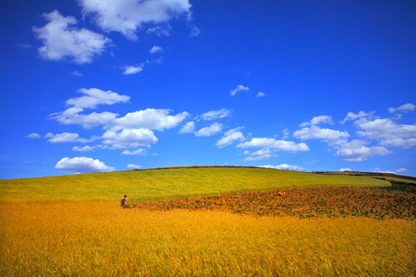 立秋_副本.jpg 立秋_副本.jpg