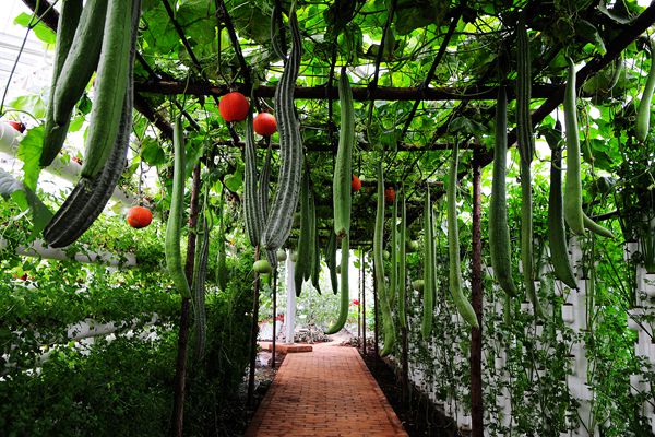 微信圖片_20180727085457_副本.jpg 微信圖片_20180727085457_副本.jpg