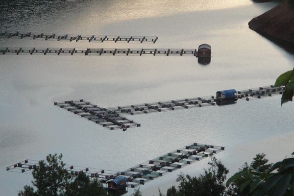 煙波悠情._副本.jpg 煙波悠情._副本.jpg