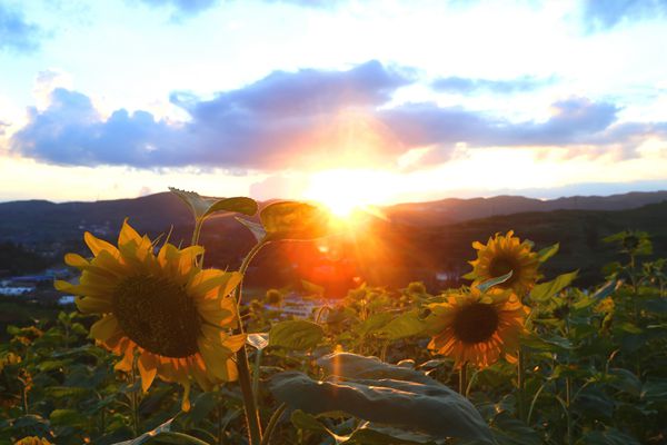 2_副本.jpg 2_副本.jpg