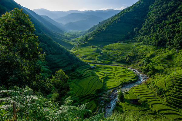 1千年梯田_副本.jpg 1千年梯田_副本.jpg