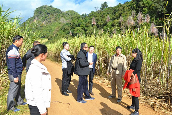 03_副本.jpg 03_副本.jpg