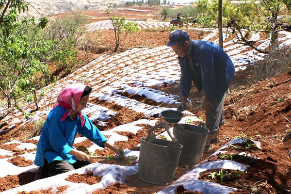 麒麟_副本.jpg 麒麟_副本.jpg