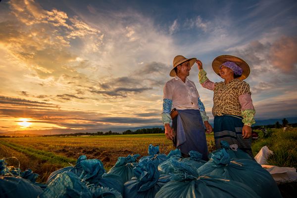 芒市_副本.jpg 芒市_副本.jpg