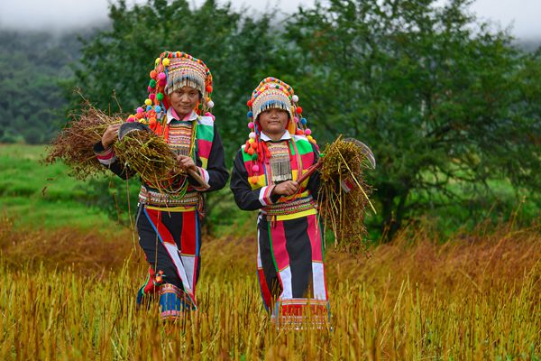 12_副本.jpg 12_副本.jpg