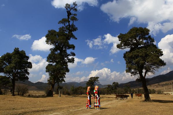 1_副本.jpg 1_副本.jpg