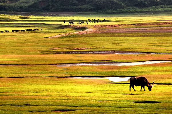 馬龍_副本.jpg 馬龍_副本.jpg