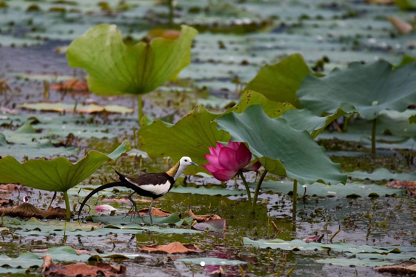 五華區_副本.png 五華區_副本.png