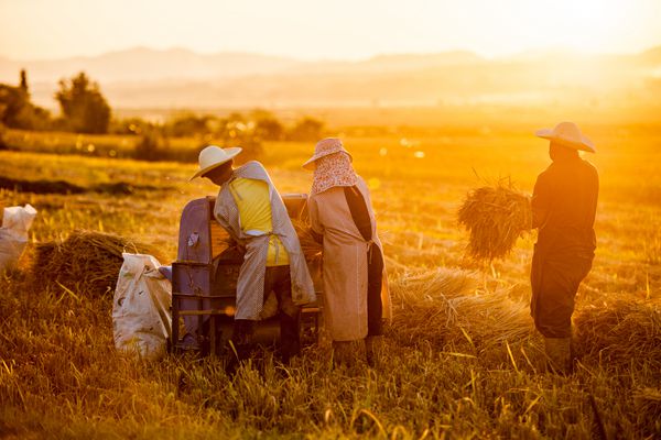 隆陽區_副本.jpg 隆陽區_副本.jpg