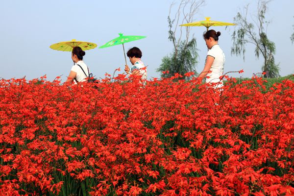 麒麟_副本.jpg 麒麟_副本.jpg