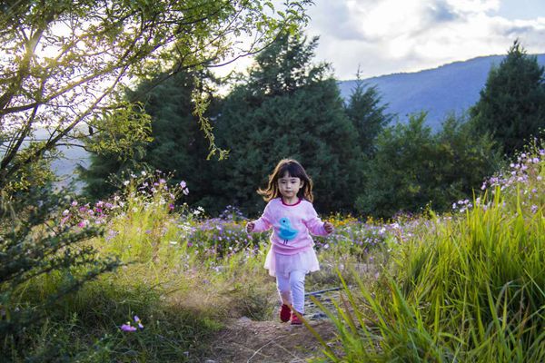 華坪_副本.jpg 華坪_副本.jpg