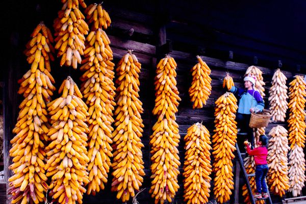 QQ圖片20180821152220_副本.jpg QQ圖片20180821152220_副本.jpg