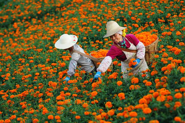 開遠_副本.jpg 開遠_副本.jpg