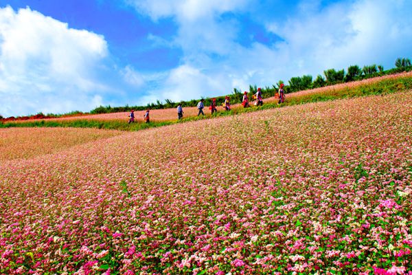 瀘西_副本.jpg 瀘西_副本.jpg