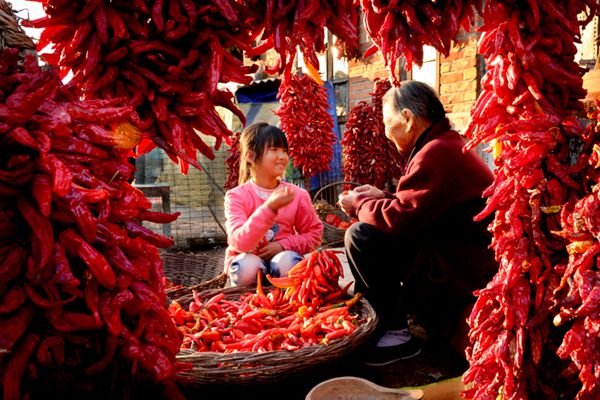 楚雄_副本.jpg 楚雄_副本.jpg