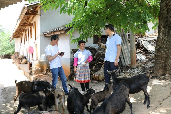 8.實地走訪挖線索.jpg 8.實地走訪挖線索.jpg