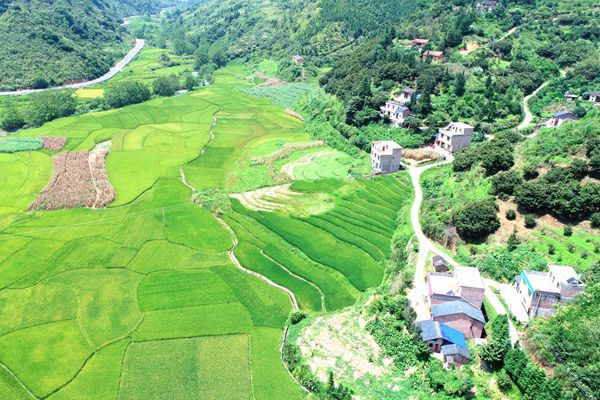 林場_副本.jpg 林場_副本.jpg