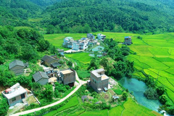 那素_副本.jpg 那素_副本.jpg